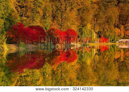 Evening In The Autumn City Park.
Trees Are Reflected In The Pond. Ukraine, Kyiv. 