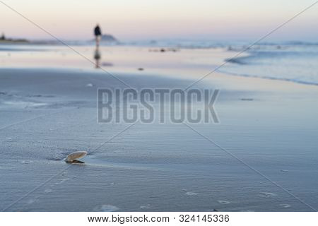 Oceanbeach As Sun Is On Horizon Creating Golden Glow Across Sea To Beach Still In Dark Of Morning.
