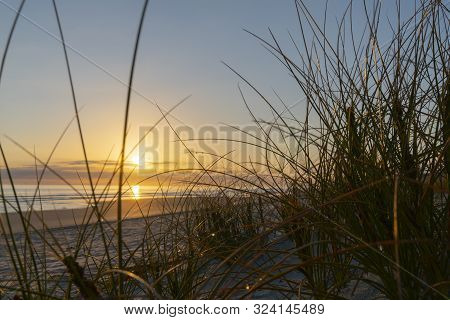 Oceanbeach As Sun Is On Horizon Creating Golden Glow Across Sea To Beach Still In Dark Of Morning.