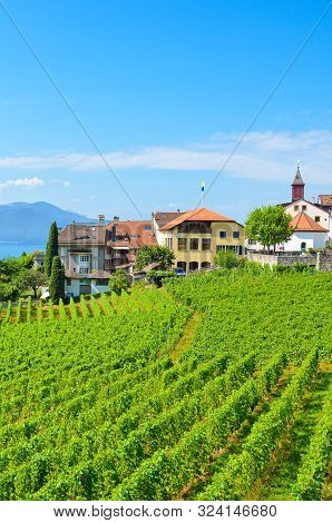 Beautiful Wine-growing Village Rivaz In Lavaux Wine Region, Switzerland. Lake Geneva And Swiss Alps 