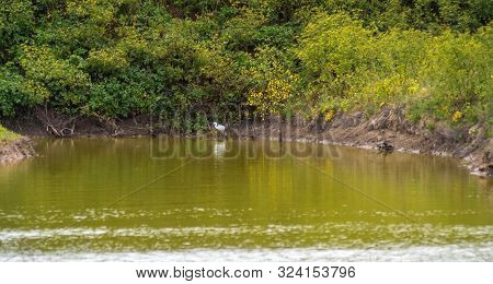 Lilleau Des Niges National Nature Reserve Of Ile De Re Island In France