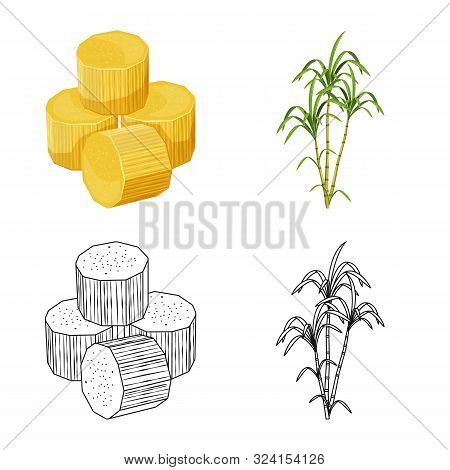 Isolated Object Of Farm And Agriculture Logo. Set Of Farm And Technology Stock Vector Illustration.
