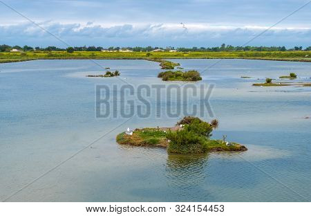 Beautiful View Of Lilleau Des Niges National Nature Reserve Of Ile De Re Island In France