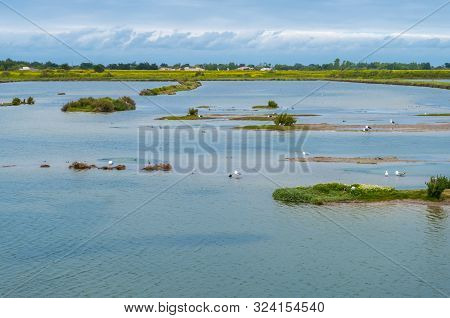 Beautiful View Of Lilleau Des Niges National Nature Reserve Of Ile De Re Island In France