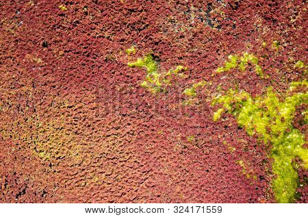 colorful red azolla floating of the river at winter at Wujie , Nantou, Taiwan