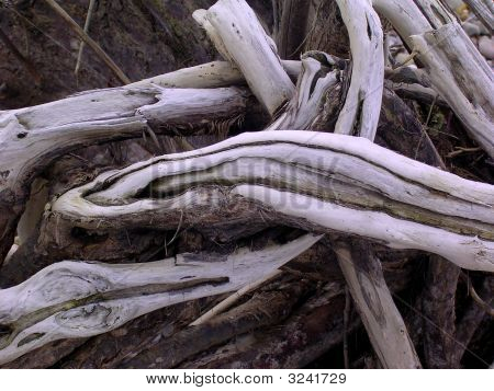 Driftwood