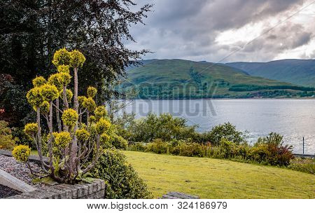 Landscape With Plants And Trees And Loch Linnhe In The Background. Loch Linnhe Is A Sea Loch On The 