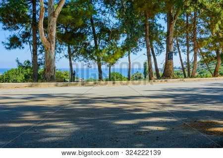 Bark-stripped Pines Along The Road. Gardens And Countryside. Blue Sea And Mountains On The Horizon