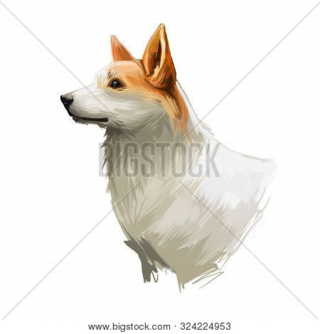 Norrbottenspets Dog Purebred With Long Ears, Digital Art Isolated. Portrait Of Mammal Domestic Anima