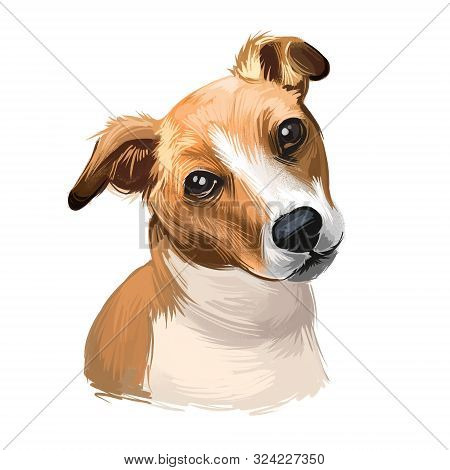 Plummer Terrier Dog Portrait Isolated On White. Digital Art Illustration Of Hand Drawn Dog For Web, 