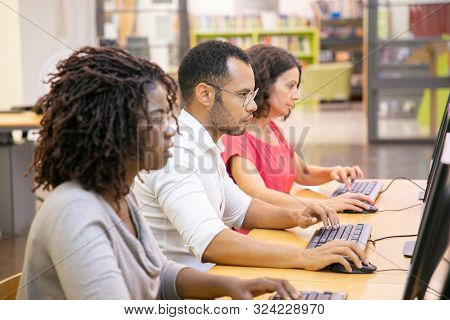 Diverse Group Of Adult Students Working In Computer Class. Line Of Man And Women In Casual Sitting A