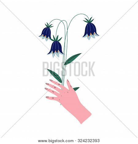 Female Hand Holding Beautiful Blue Bell Flowers, Elegant Decorative Floral Design Element Vector Ill