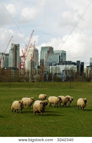 Canary Wharf Londýn hlavní finanční