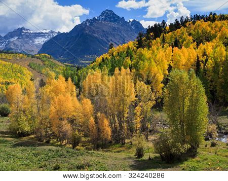 Colorful Colorado. Autumn On The Dallas Divide.