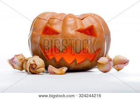 Photo Of Halloween Pumpkin. Scary Jack Olantern Isolated On White