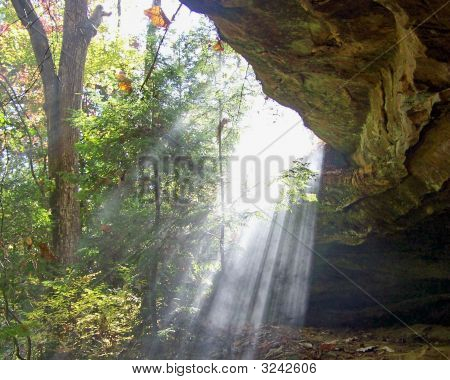 Sun Rays