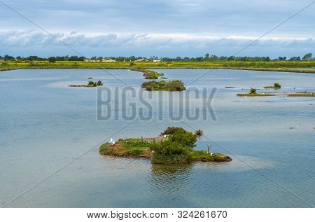 Beautiful View Of Lilleau Des Niges National Nature Reserve Of Ile De Re Island In France