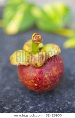 Mangostin