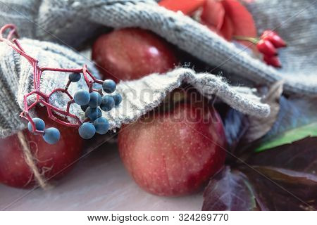 Autumn Still Life In Burgundy Colors. Autumn Or Winter Concept. Apple, Wild Grepes And Red Leaves On