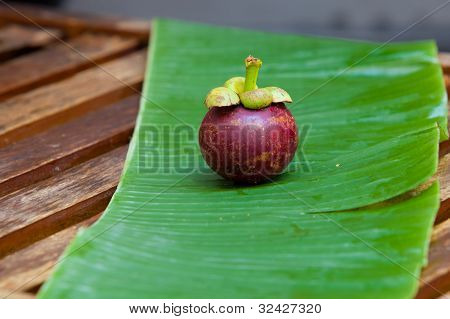 Mangostin