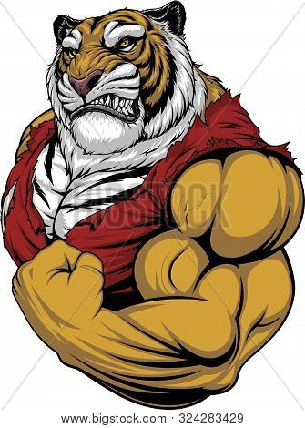 Vector Illustration, A Ferocious Tiger Strong Bodybuilder Athlete Posing, Showing Large Biceps