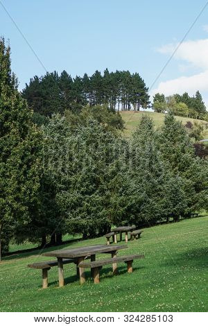 A Green Hillside Park With Wildlife And A Table And Benches For A Perfect Holiday. Coniferous Trees
