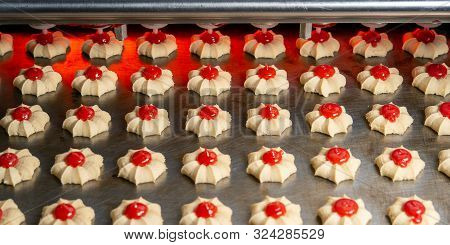 Cookie Making Factory Bakery Fresh Cook Biscuit