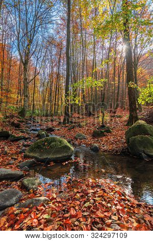 Water Stream Among The Rock In Forest. Beautiful Nature Scenery On A Sunny Autumn Afternoon. Crystal