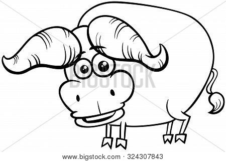 Black And White Cartoon Illustration Of Funny African Buffalo Wild Animal Comic Character Coloring B