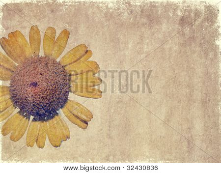 erdigen Blumen Hintergrundbild und nützliche Design-Element.