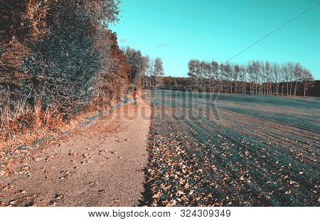 Autumn In Rurual Denmark Road Thrugh Green Meadow Of Golf Course And Forest
