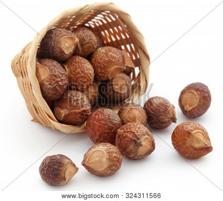 Sapindus Mukorossi Or Indian Soapberry Use In Many Pharmacological And Cleansing Purposes