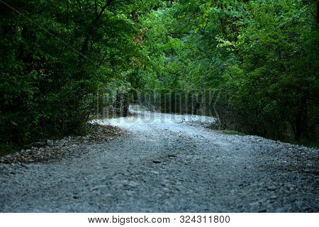 Autumn Alley In Thepark, A Bench And Fallen Leaves Xudat Azerbaijan