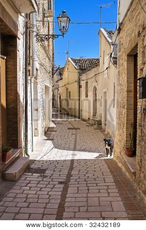 Yolun. Pietramontecorvino. Puglia. İtalya.