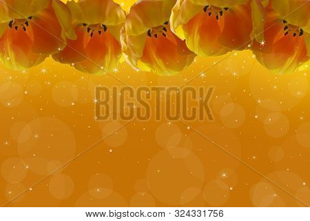 Frame Of Orange Tulips On A Golden Background