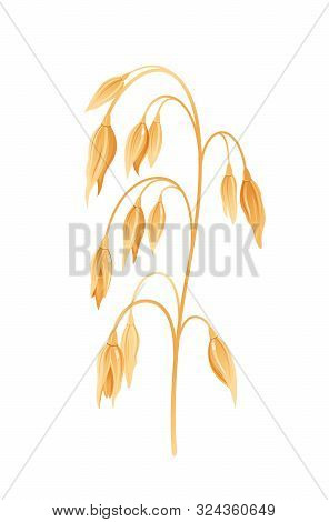 Oats Icon. 3d Realistic Oatmeal. Isolated Meal Cartoon. Cereal For Porridge, Muesli, Flakes. Grain, 
