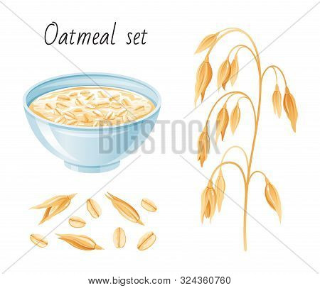 Oat Meal Set. Bowl, Oatmeal Ear Flake. Breakfast Cup With Oat Grain Porridge, Muesli, Seed. 3d Reali