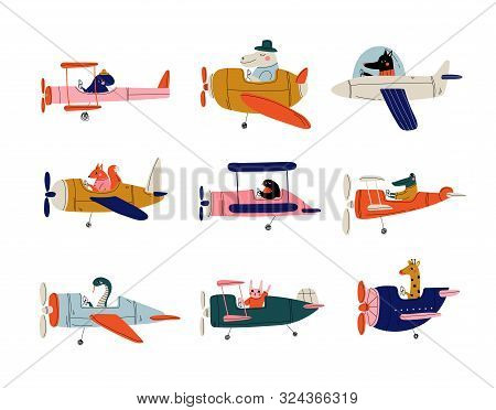 Collection Of Cute Animals Pilots Flying On Retro Planes In The Sky, Octopus, Bird, Crocodile, Bunny