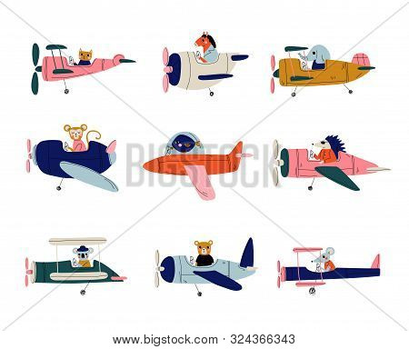Collection Of Cute Animals Pilots Flying On Retro Planes In The Sky, Elephant, Cat, Fish, Horse, Hed