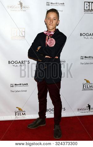 LOS ANGELES - SEP 26:  Nickolas Wolf at the 2019 Catalina Film Festival - Thursday - Dark Harbor World Premiere at the Queen Mary on September 26, 2019 in Long Beach, CA