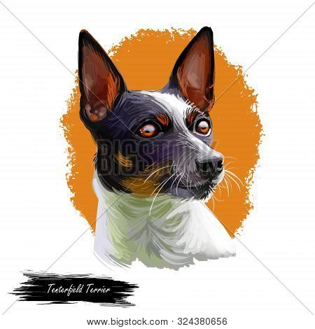 Tenterfield Terrier Dog Portrait Isolated On White. Digital Art Illustration, Animal Watercolor Draw
