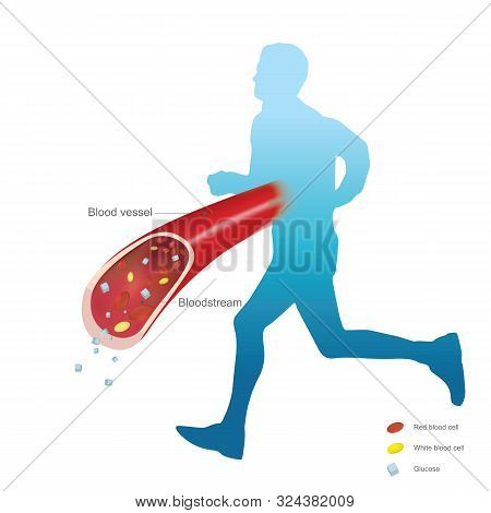 Glucocorticoids Hormone Use And Help Increased Blood Glucose. Retention Of Sodium And Water By Kidne