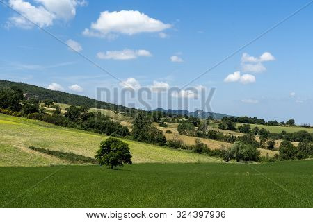 Rural Landscape Near Pomarance, Pisa, Tuscany, Italy, At Summer. Fields