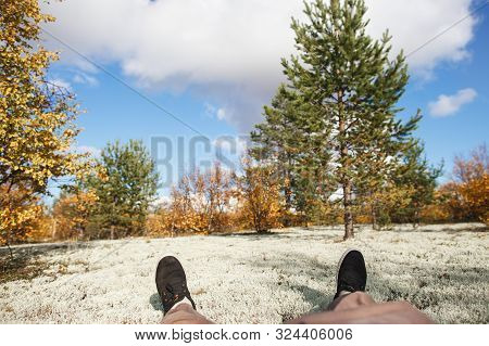 Point Of View Feet In Sneakers In White Reindeer Lichen In Tundra. Man Hiker Relaxing In Wonderful P