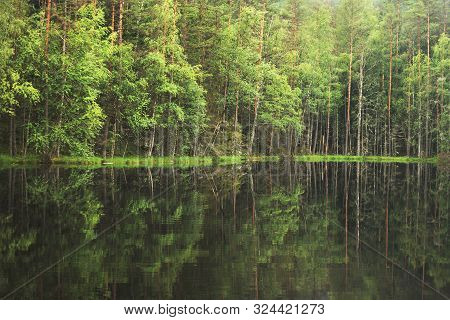 Forest Around The Lake. Reflection Of Trees In Water. Blue Lakes On Naroch