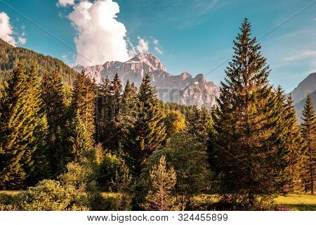 Summer Has Arrived In The Italian Alps