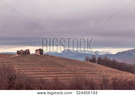 Foggy Winter Sunrise In The Collio Friulano, Italy