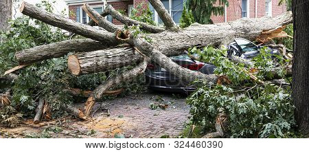 A Car Parked In The Driveway Has A Tree Fall On To It During A Wind Storm On Long Island.