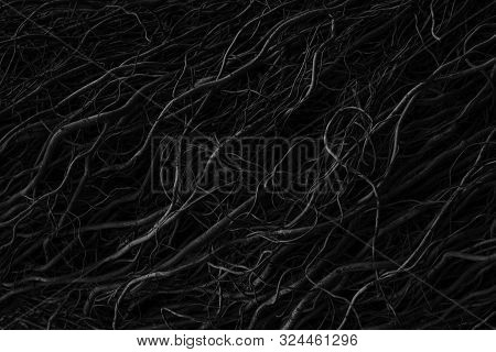 Beautiful Black, White And Grey Texture Background. Dark Abstract Nature Background Texture Of Dry T