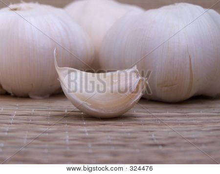 Garlic